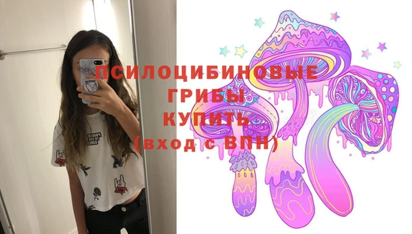 spice Алзамай