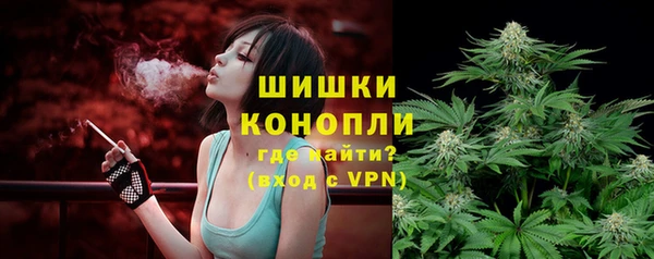 spice Алзамай