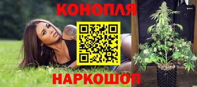 каннабис Ачхой-Мартан