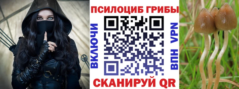 закладки  Ачинск  Галлюциногенные грибы ЛСД 
