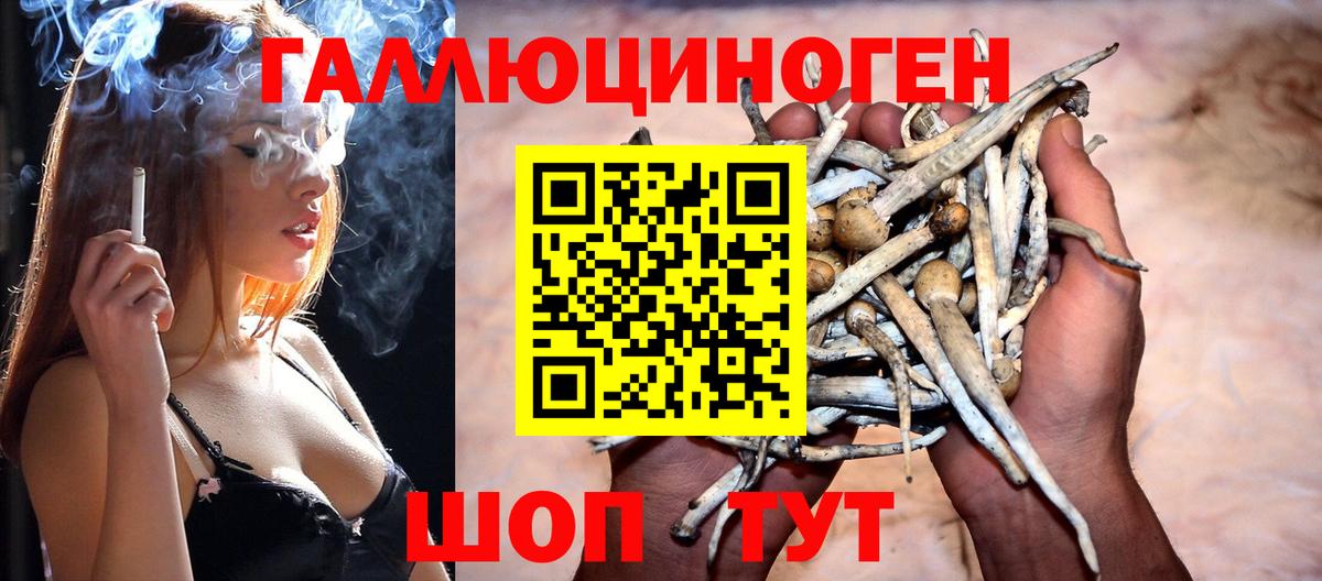 Галлюциногенные грибы Psilocybine cubensis  Галлюциногенные грибы Cubensis  Вход с VPN  Ачинск 