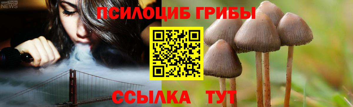 Псилоцибиновые грибы Cubensis Ачинск